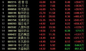 A股全线反弹沪指重上2900点！板块普涨，题材股开花